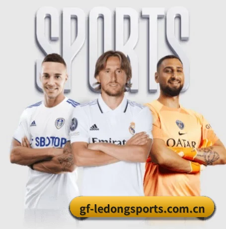 乐动体育官方网站 APP 界面（LDSPORTS）
